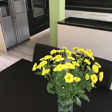Apartament Przy Sadzie Apartment